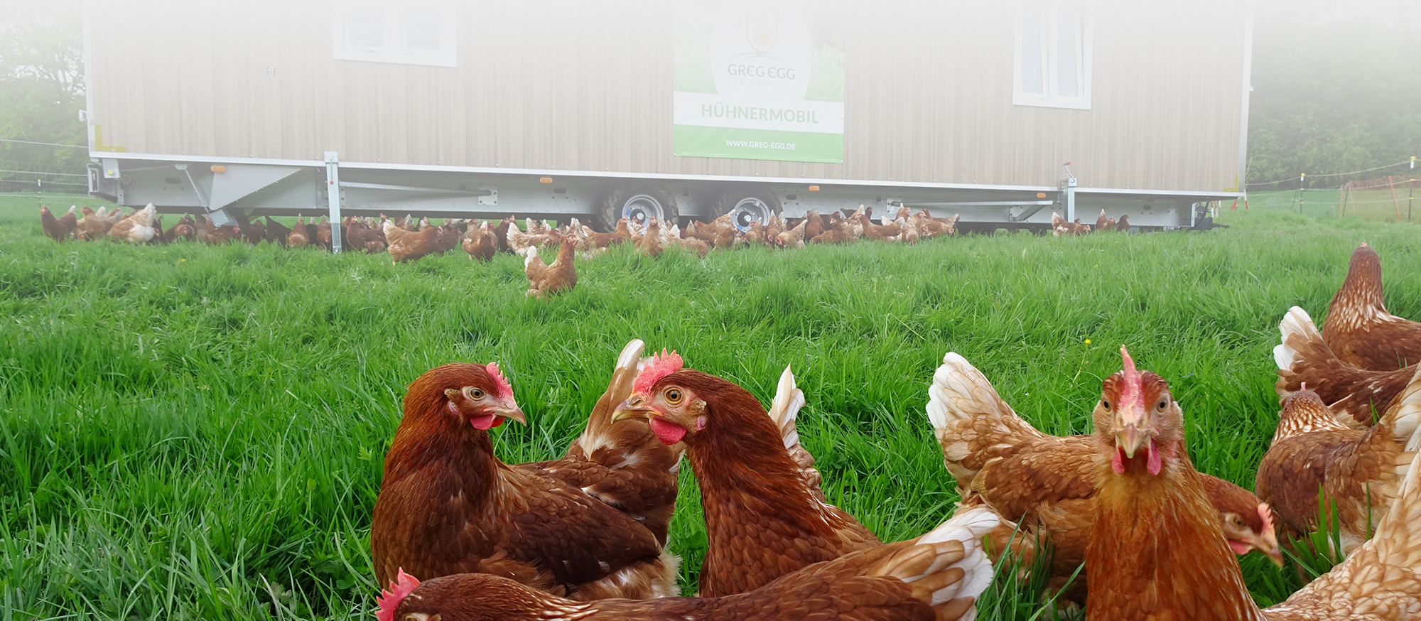 Header Huehnermobil